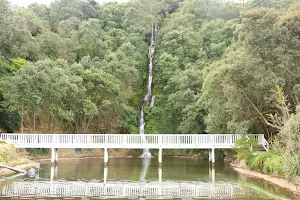 Centennial Garden Waterfall image