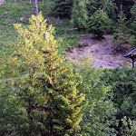 Photo n°13 de l'avis de Bernd.o fait le 12/06/2023 à 14:26 sur le  Waldgasthaus Bahnhof Stöberhai à Walkenried