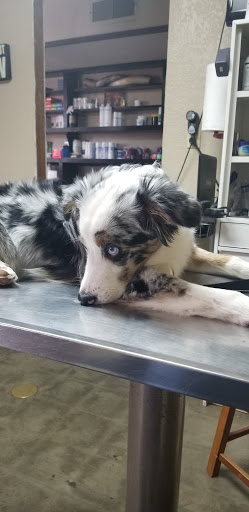 Main St Veterinary Clinic