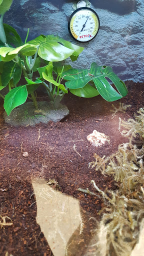 Pet Supply Store «Petco Animal Supplies», reviews and photos, 70 Trinity Point Dr, Washington, PA 15301, USA