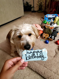 Mugsy’s Pet Supply & Barkery - Photo 5 - Car repair in Vallejo, CA, Concord