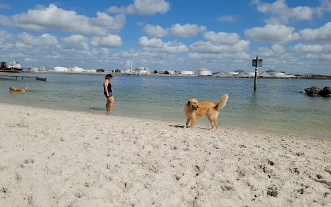 Davis Island Dog Beach image