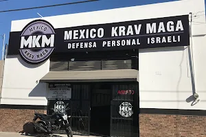 Mexico Krav Maga image