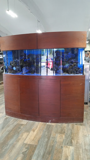 Laundromat «Laundry World», reviews and photos, 500 W 29th St, Hialeah, FL 33012, USA