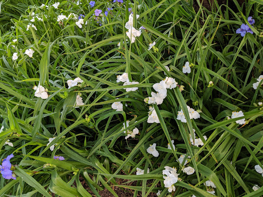 Shopping Mall «Golden Horseshoe Shopping Center», reviews and photos, 1088 Wilmot Rd, Scarsdale, NY 10583, USA