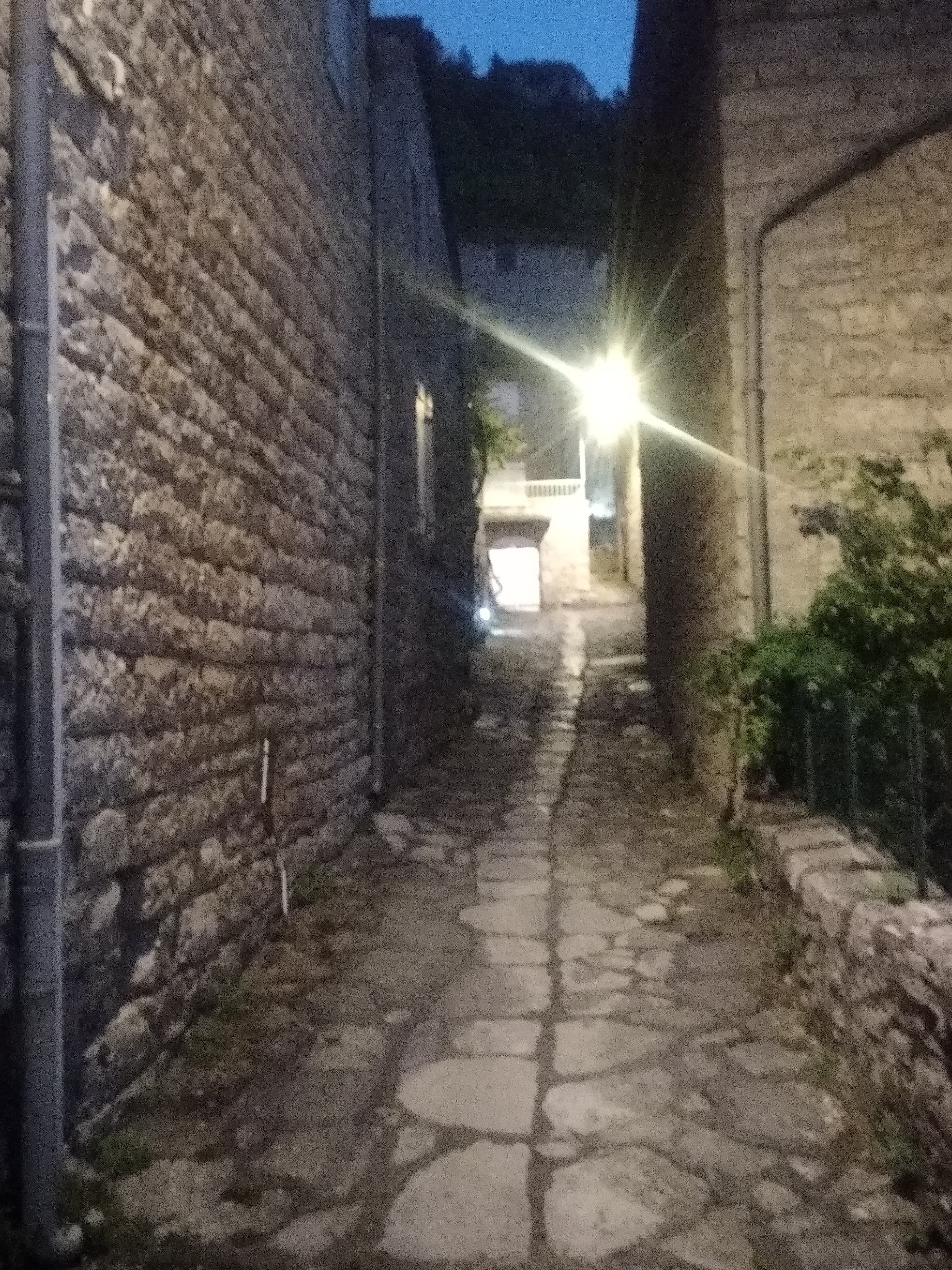 Photo n° 6 de l'avis de REBOURG.e fait le 03/10/2021 à 19:16