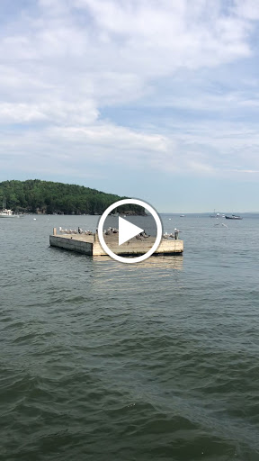 Sightseeing Tour Agency «Lulu Lobster Boat Ride», reviews and photos, 55 West St, Bar Harbor, ME 04609, USA