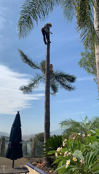 Lucero General Landscaping - Photo 7 - Car repair in , Corona