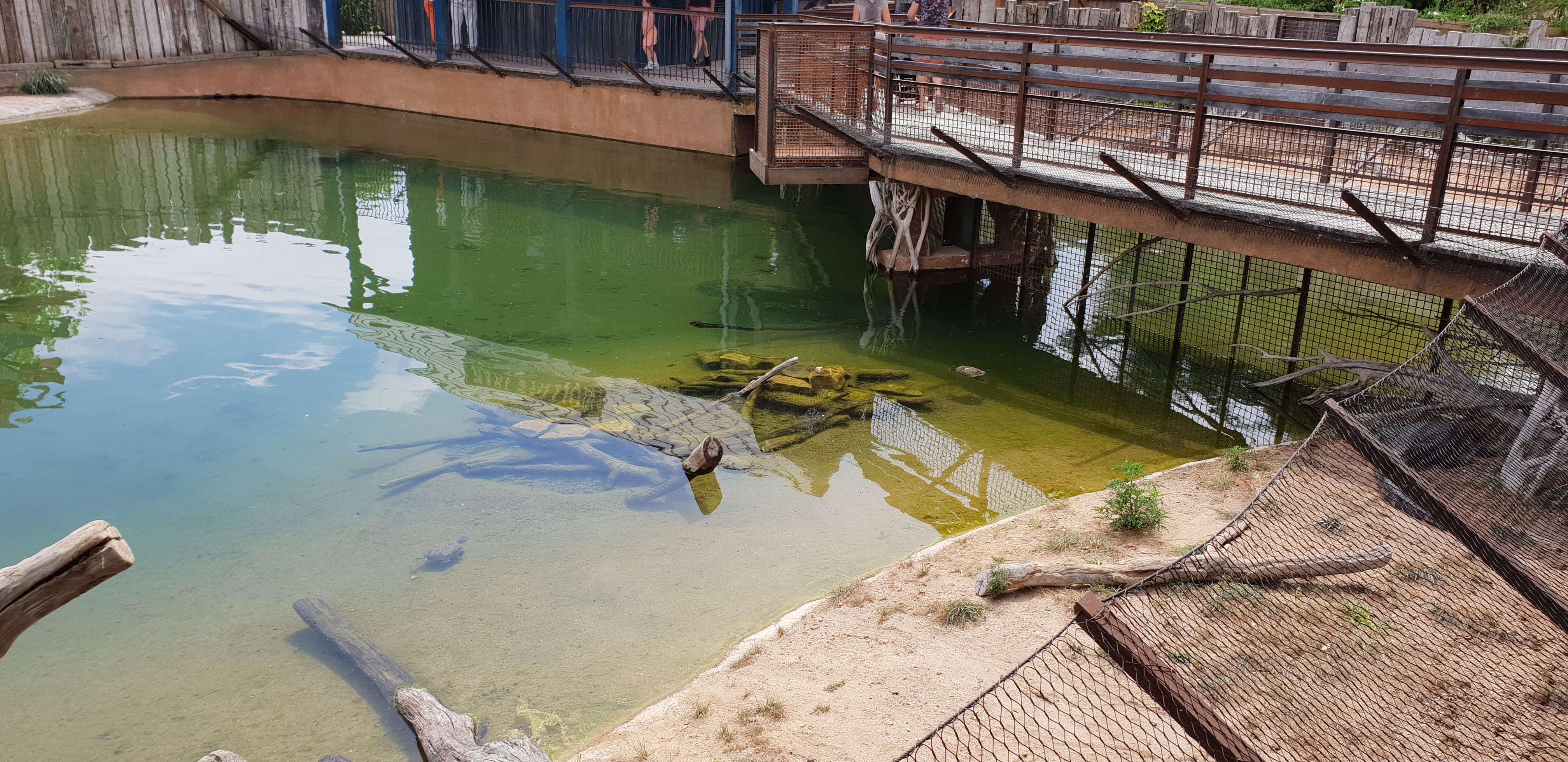 Photo n° 3 de l'avis de Florian.o fait le 24/07/2018 à 18:20