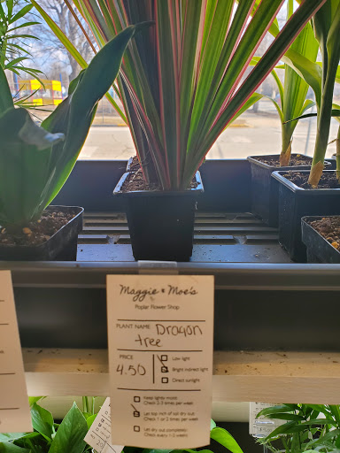 Florist «Poplar Flower Shop», reviews and photos, 361 S 18th St, Terre Haute, IN 47807, USA