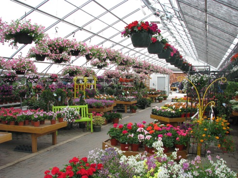 Florist «Countryside Flower Shop», reviews and photos, 5301 E Terra Cotta Ave, Crystal Lake, IL 60014, USA