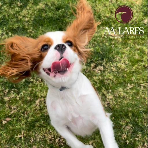 Auto Insurance Agency «AA Lares Insurance Services, Inc.», reviews and photos