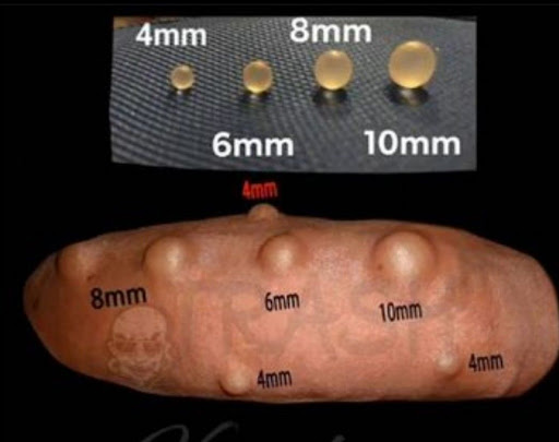 Explore 1990 tattoo ideas, creative tattoo ideas in Anaheim, available at Monsters Den Tattoo Shop & Piercing (YES WE TAKE WALK-INS)