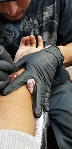 Explore sunflower tattoo ideas black and white, creative tattoo ideas in Memphis, available at Studio 42