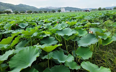 Jisan-saet River Ecological Park image