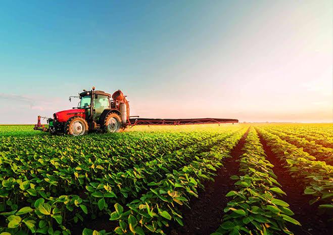 Nutri Fértil - Agropecuária -Fertilizantes e Defensivos