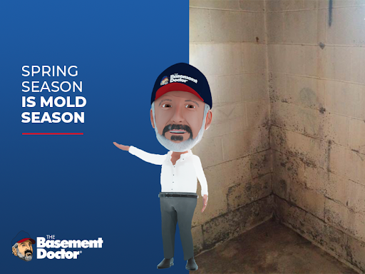 Waterproofing Company «The Basement Doctor», reviews and photos