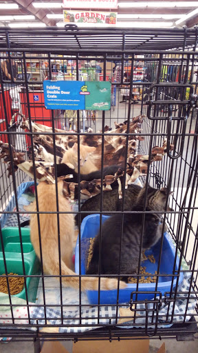 Home Improvement Store «Tractor Supply Co.», reviews and photos, 1111 Halstead Blvd, Elizabeth City, NC 27909, USA