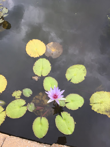 Pet Store «Fins Feathers Paws & Claws», reviews and photos, 436 Main St, Harleysville, PA 19438, USA