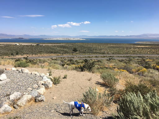 Convenience Store «Tioga Gas Mart», reviews and photos