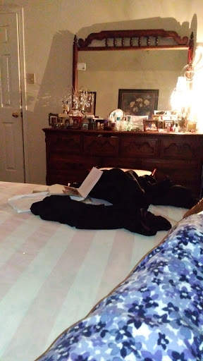 Shopping Mall «Woodforest Shopping Center», reviews and photos, 443 Uvalde Rd, Houston, TX 77015, USA