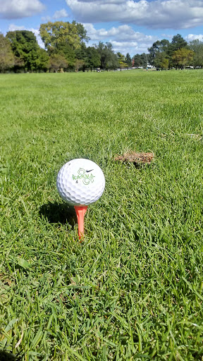 Public Golf Course «Green Oaks Golf Course», reviews and photos, 1775 E Clark Rd, Ypsilanti, MI 48198, USA