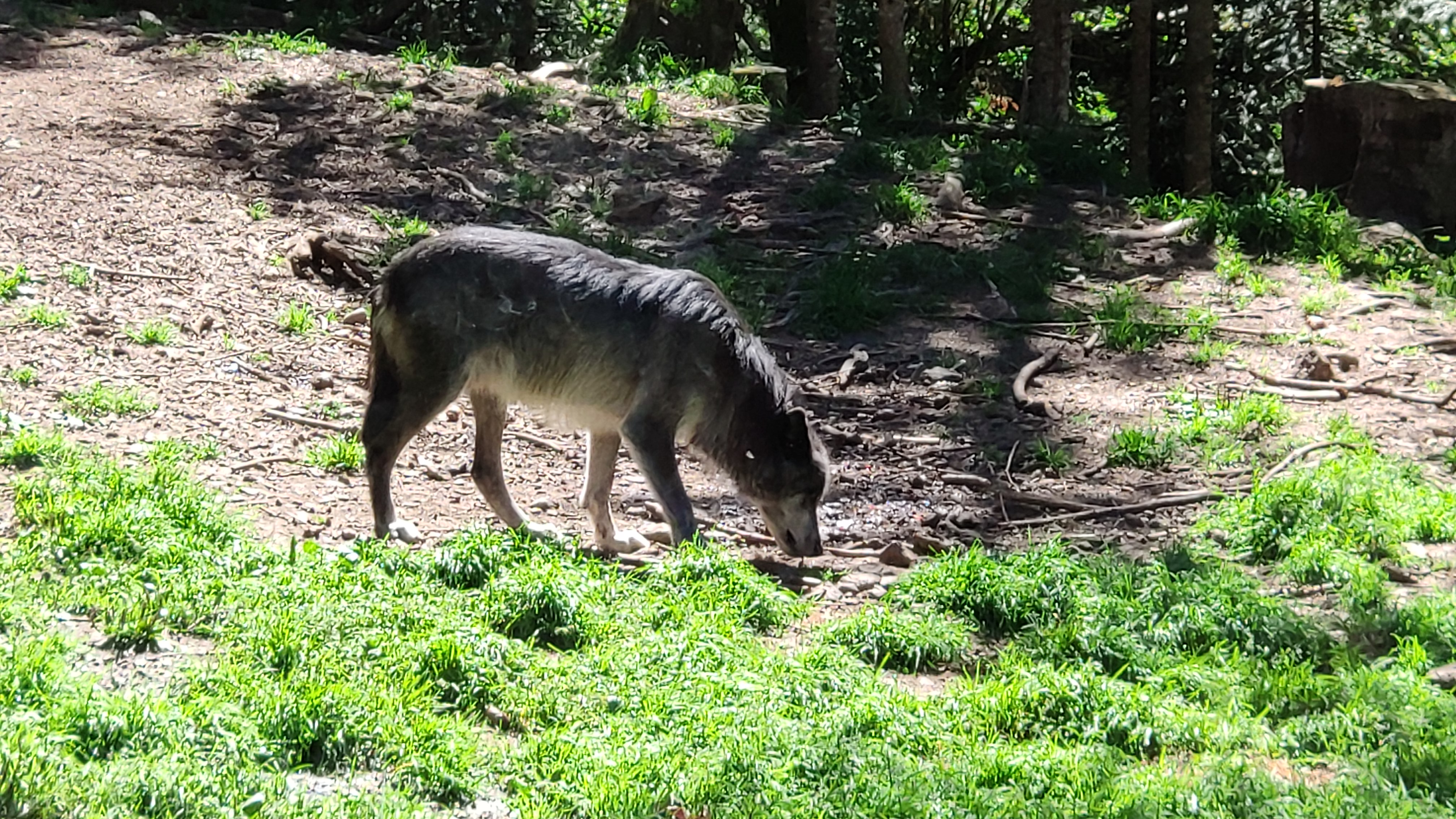 Photo n° 1 de l'avis de Vince.e fait le 09/08/2019 à 21:01