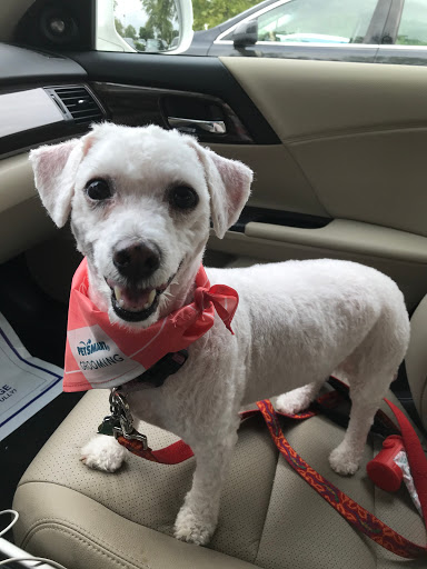 Pet Supply Store «PetSmart», reviews and photos, 7225 Bell Creek Rd Ste 228, Mechanicsville, VA 23111, USA