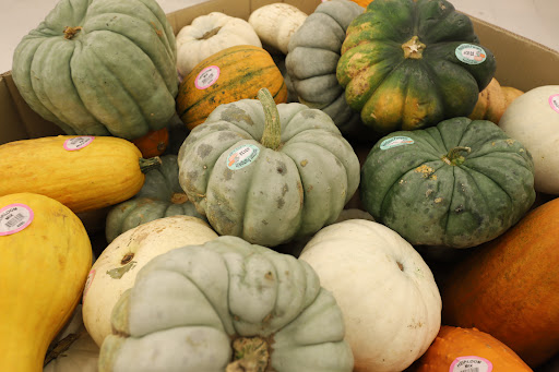 Grocery Store «Food Lion», reviews and photos, 5021 Trotwood Ave Ste 7, Columbia, TN 38401, USA