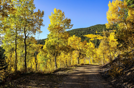 Grocery Store «Safeway», reviews and photos, 1900 N Poplar St, Leadville, CO 80461, USA