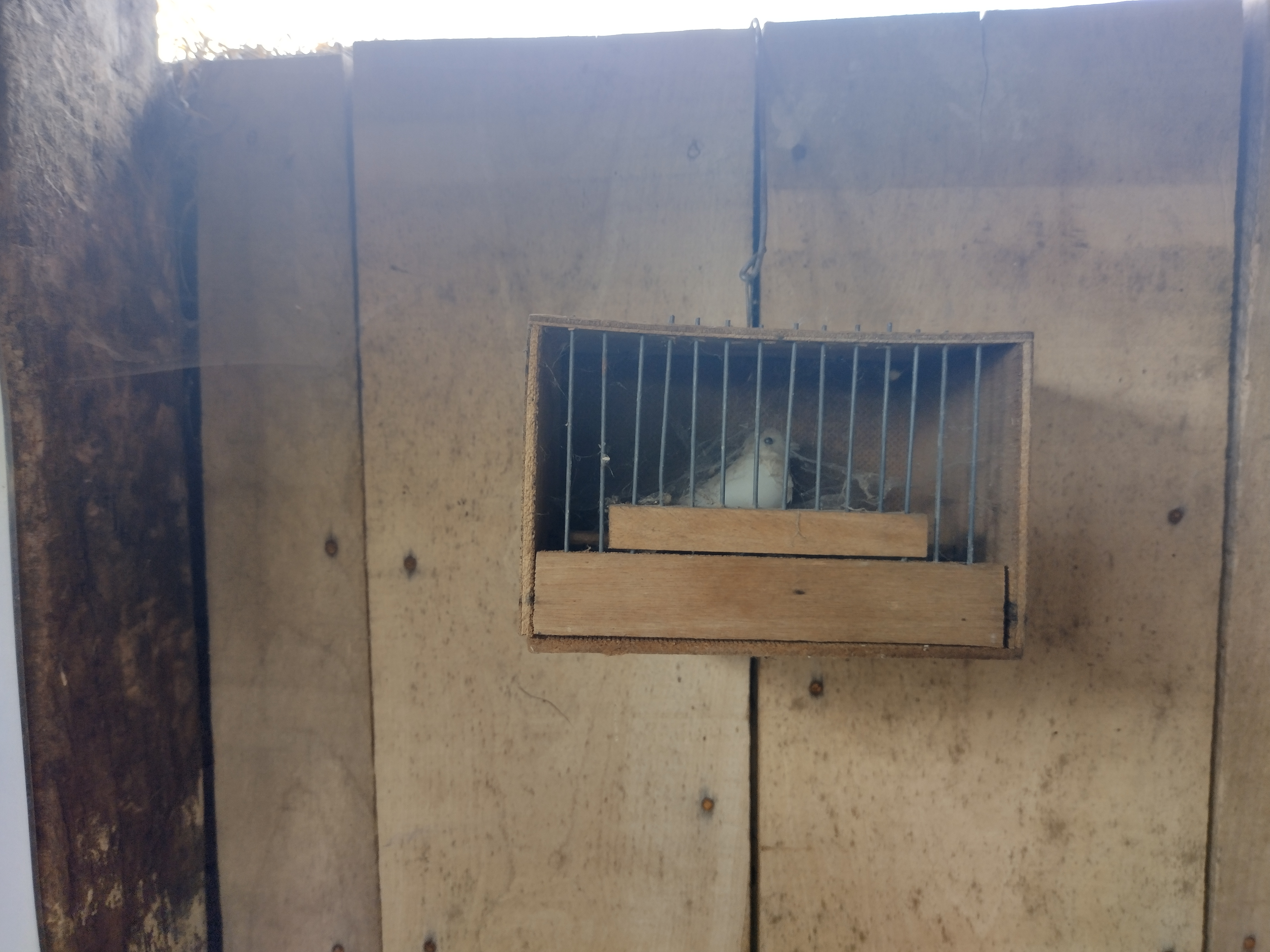 Photo n° 1 de l'avis de henri.a fait le 19/05/2022 à 16:43