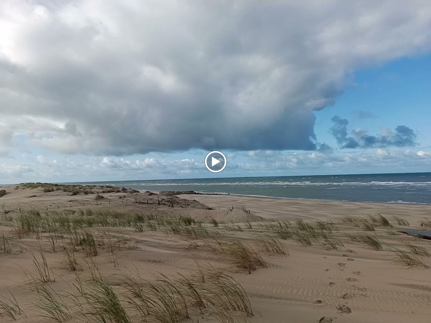 Photo n° 3 de l'avis de goldy.h fait le 28/08/2023 à 08:55