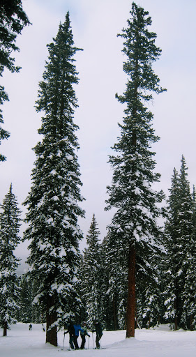 Ski Resort «Ski Cooper», reviews and photos, 232 County Road 29, Leadville, CO 80461, USA