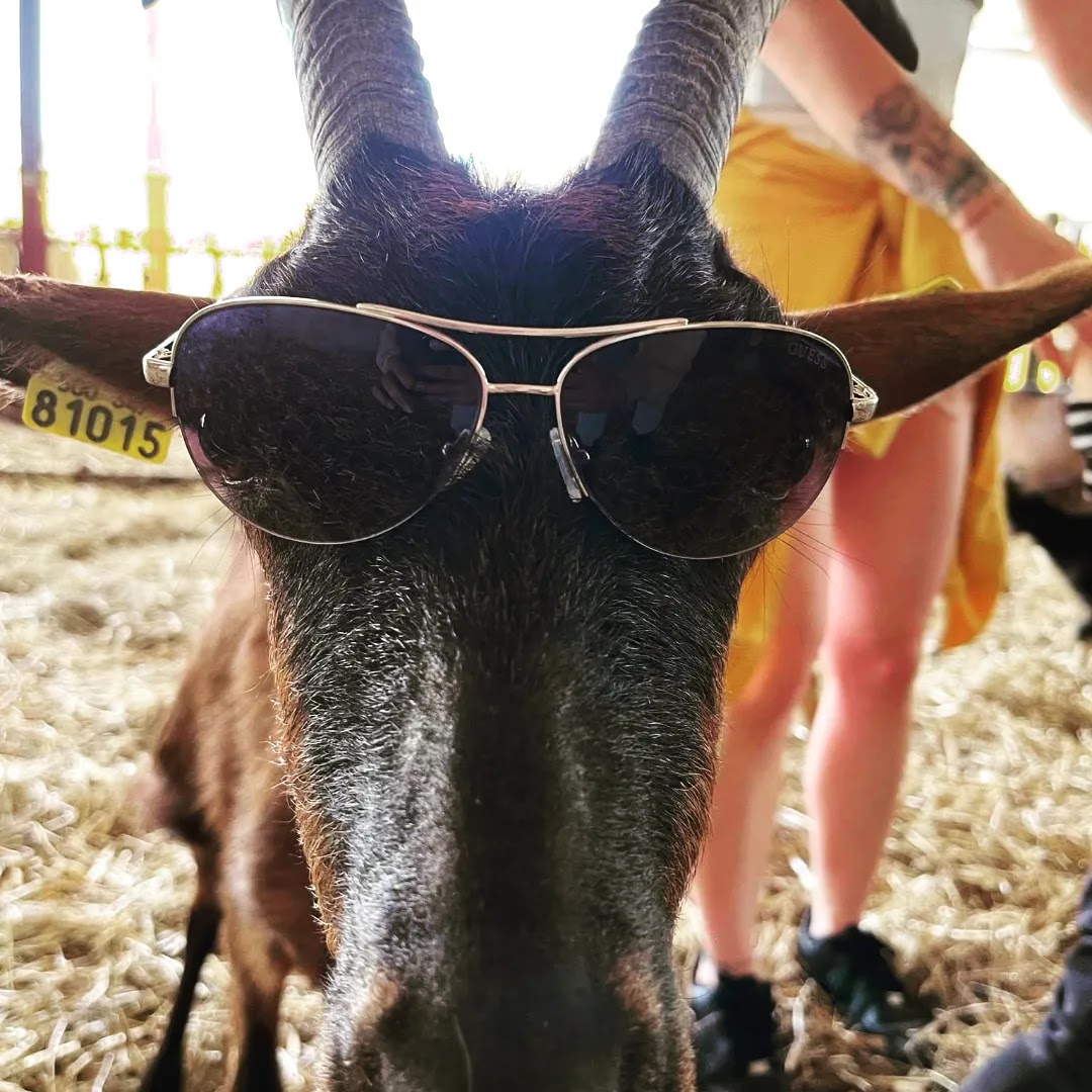 Photo n° 7 de l'avis de Aurélie.l fait le 20/03/2019 à 20:09