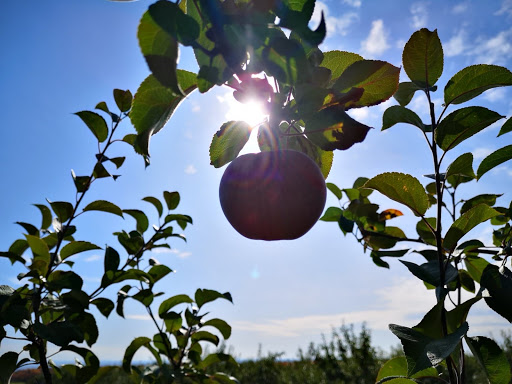 Agricultural production Québec