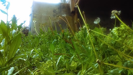 Park «Vermijo Park», reviews and photos, 2601 W Vermijo Ave, Colorado Springs, CO 80904, USA