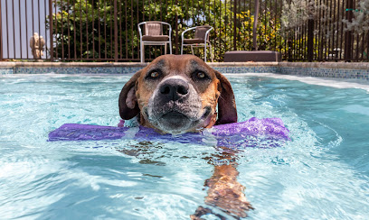 Jessie’s Pool Canine Hydrotherapy