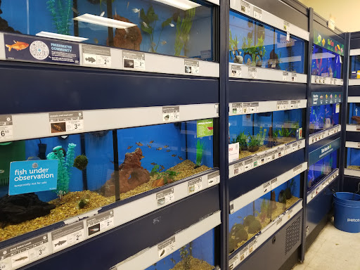 Pet Supply Store «Petco Animal Supplies», reviews and photos, 2689 Market Center Dr, Rockwall, TX 75032, USA