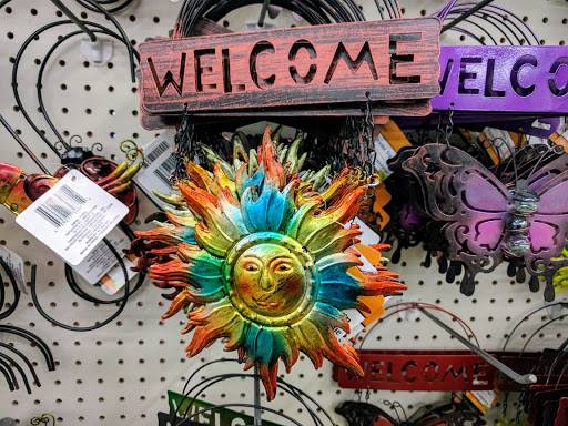 Dollar Store «Dollar Tree», reviews and photos, 1031 E Oakton St, Des Plaines, IL 60018, USA