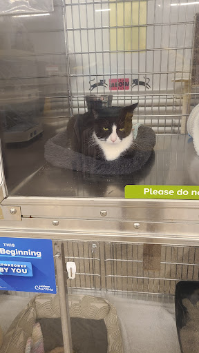 Pet Supply Store «PetSmart», reviews and photos, 2940 Springfield Rd, Broomall, PA 19008, USA