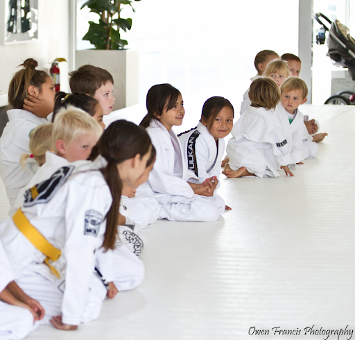 Art of Jiu Jitsu Academy image