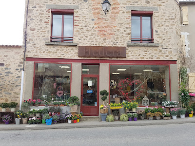 HEDERA à Saint-Brice-sur-Vienne