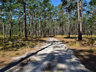 Calloway Forest Preserve