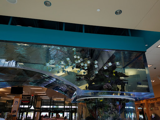 Shopping Mall «The Outlets at Sparks», reviews and photos, 1310 Scheels Drive, Sparks, NV 89434, USA