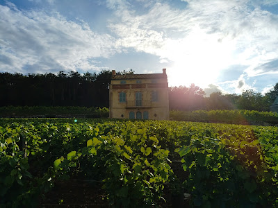 Clos des Issarts - Monopole - Domaine FAIVELEY à Gevrey-Chambertin