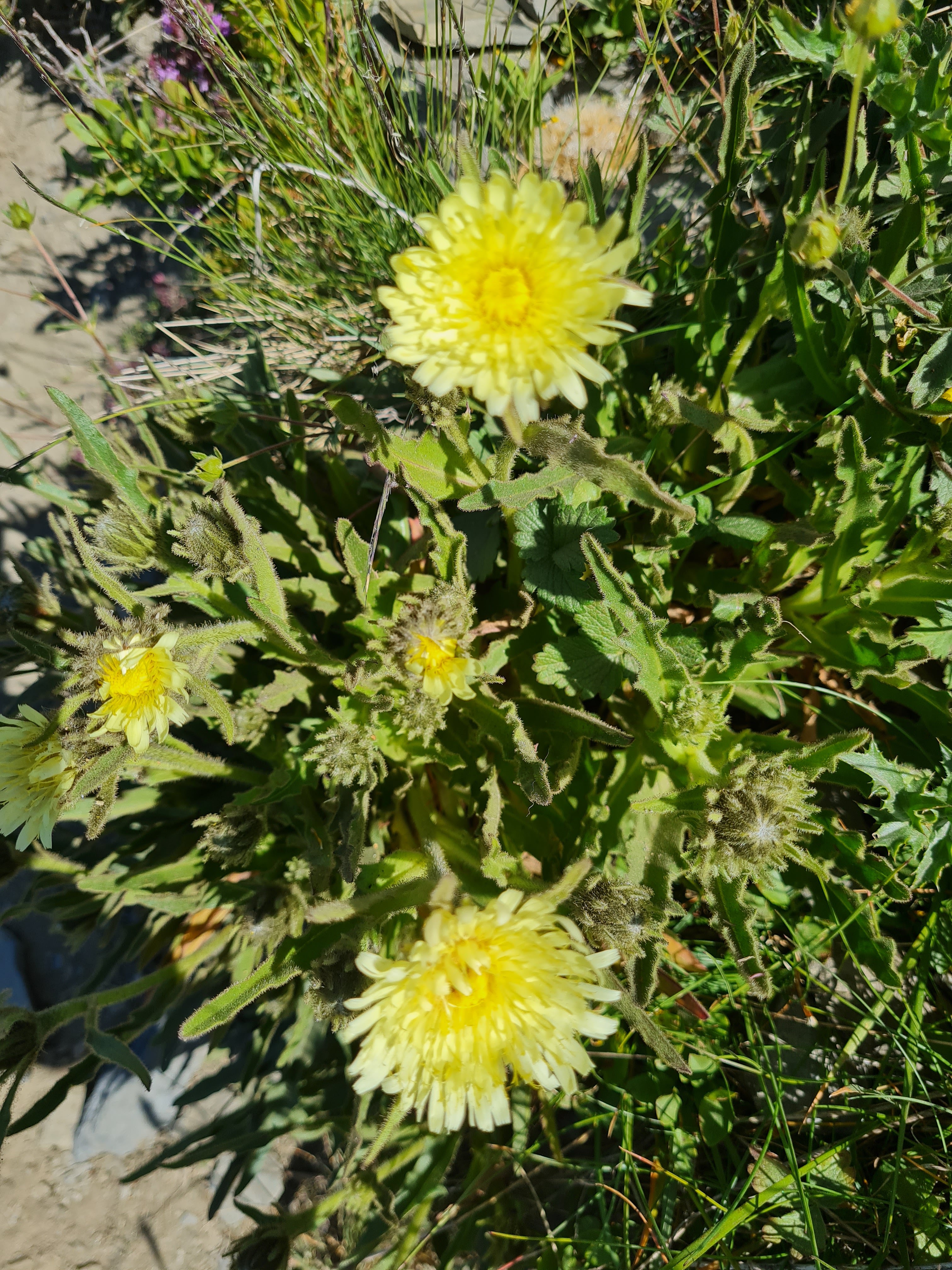 Photo n° 9 de l'avis de Murielle.a fait le 23/07/2022 à 11:26