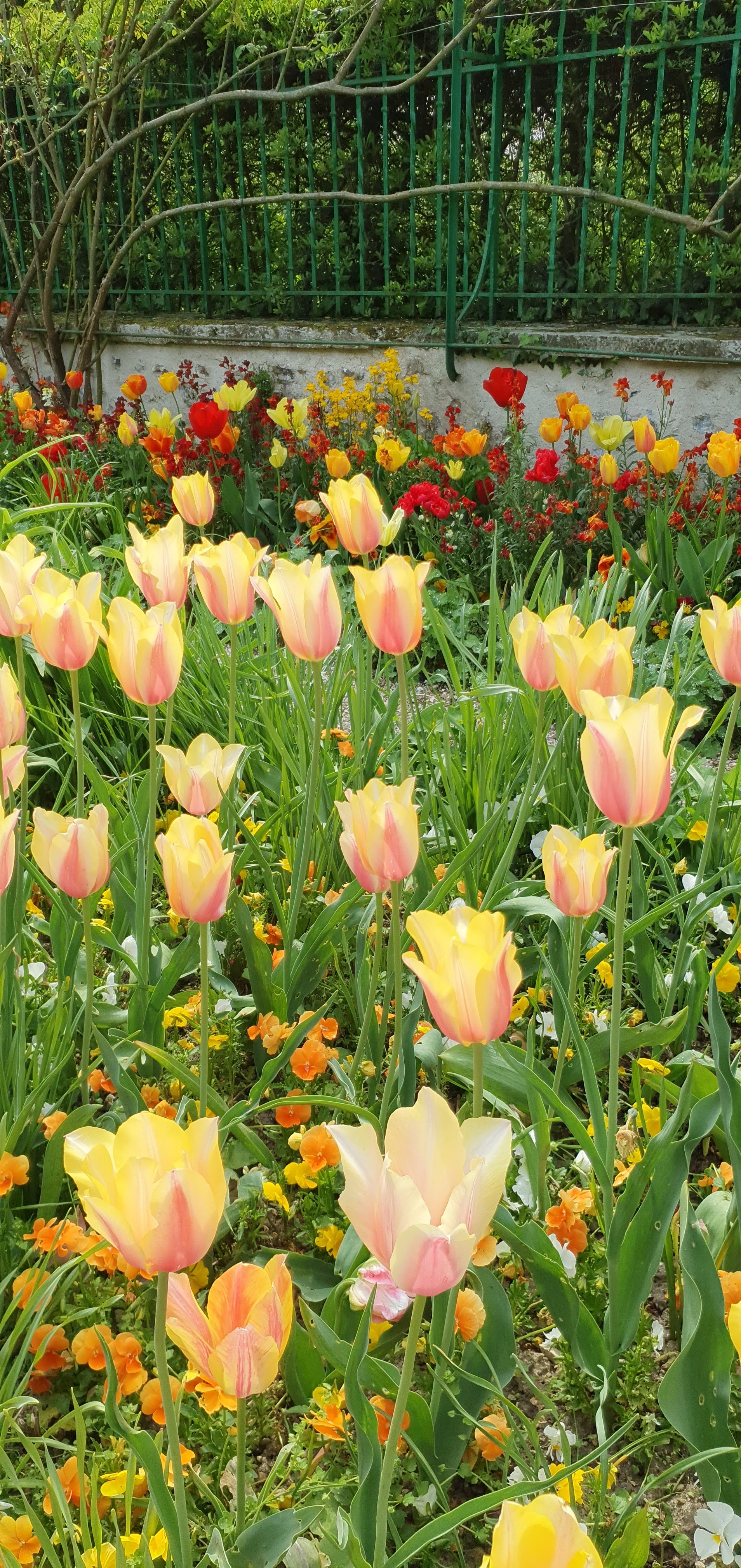 Photo n° 9 de l'avis de CS.. fait le 03/06/2022 à 19:41