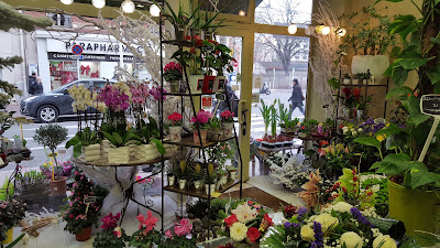 La Belle Fleur à Montrouge