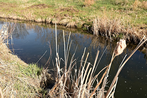 Park «The Ralston-Central Park», reviews and photos, 5850 Garrison St, Arvada, CO 80002, USA