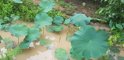 Top 13 cửa hàng kim giáp Huyện Trà Ôn Vĩnh Long 2022